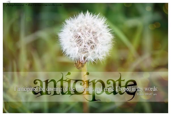 scripture-psalm119-147asv-sm-jpg-photo-by-amydeanne-photobucket
